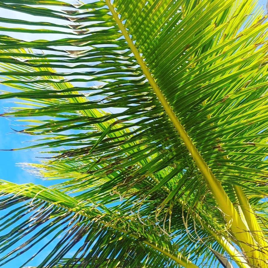 Praia De Itacimirim, Pe Na Areia Kültér fotó